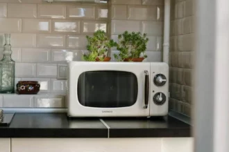 mikrohullámú sütő, a tetején növény