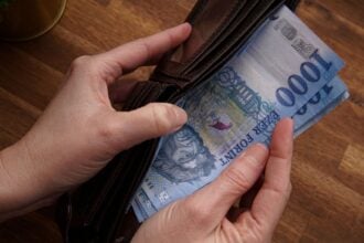 1000 forintos bankjegy egy pénztárcában, amit kivesz abból egy ember, csak a kézfeje látszik