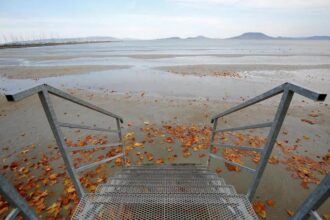 Balaton - Siófok ősszel, falevelek a vízben