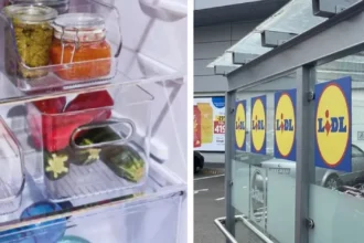 lidl tároló bolt hűtő