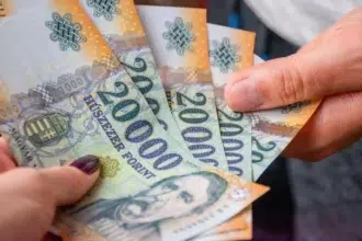 magyar forint húszezres