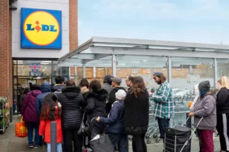 lidl bolt vásárlók