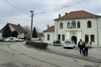 nagytevel polgármester