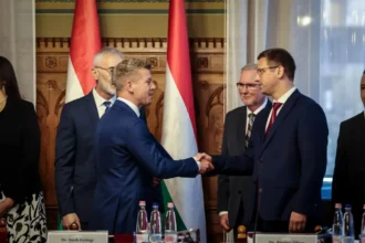 magyar péter gulyás gergely