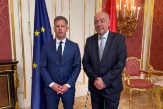 magyar péter sulyok tamás