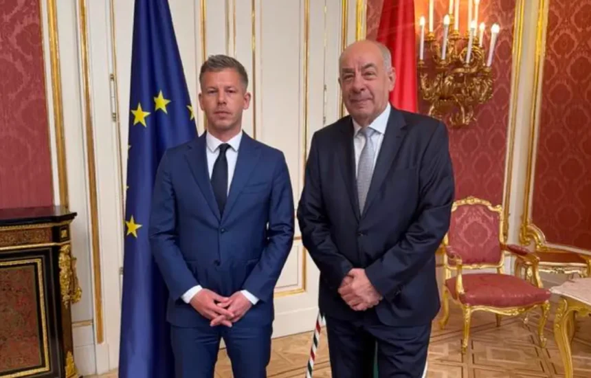 magyar péter sulyok tamás