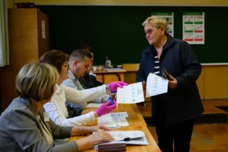 szavazás választás